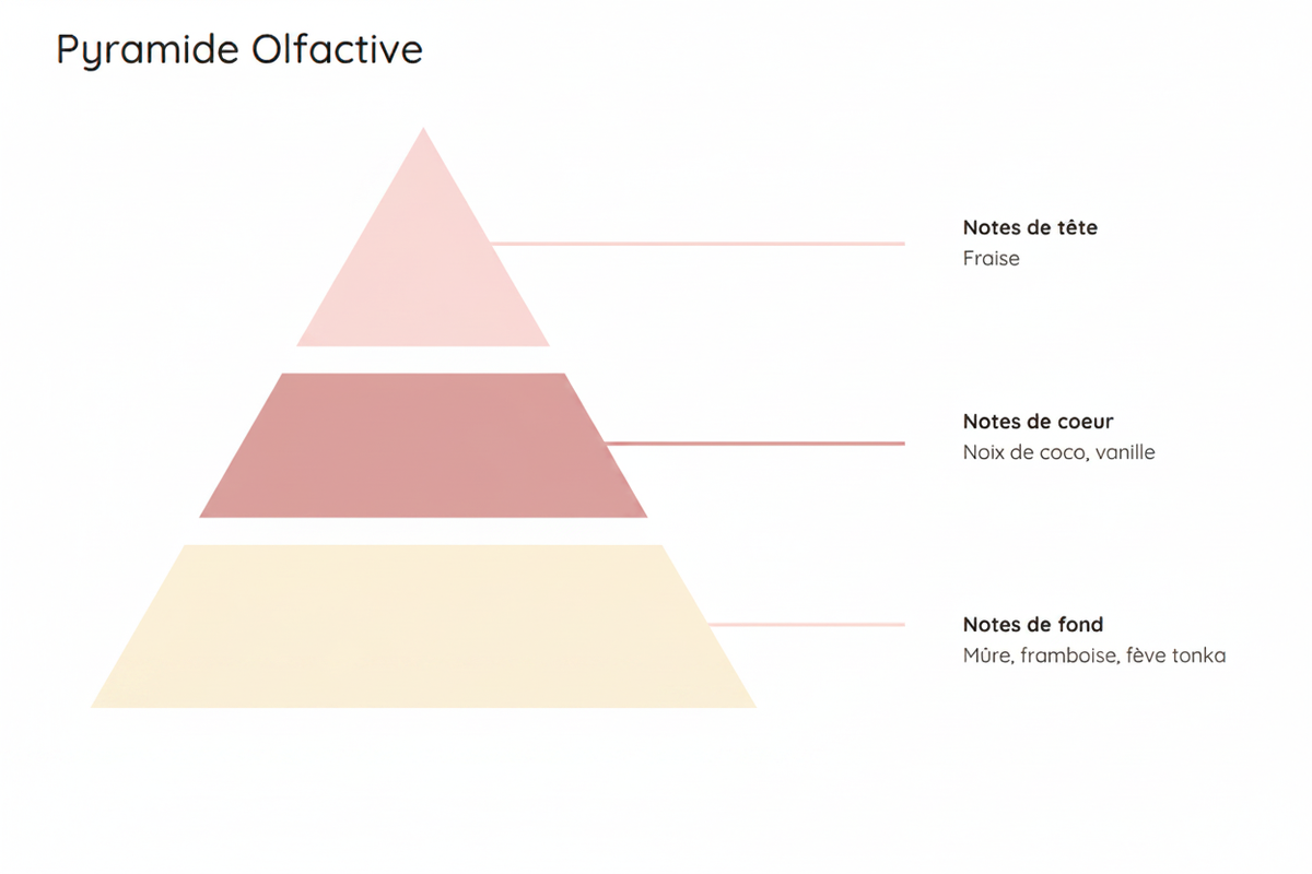 Pyramide olfactive du parfum Barbe à Papa : fraise en note de tête ; noix de coco et vanille en notes de cœur ; mûre, framboise et fève tonka en notes de fond
