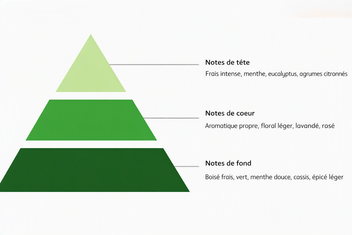 Liquide parfumé Menthe avec pipette 30 ml